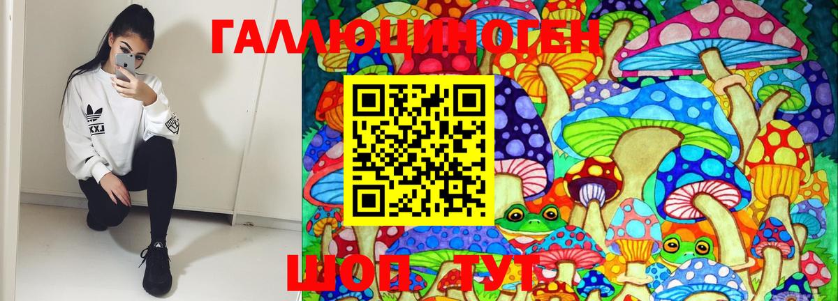 Галлюциногенные грибы Psilocybe  Вход с VPN  Кинель 